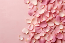 Top View Of Pink Rose Flower Petals