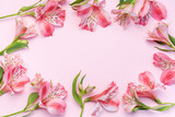 Fototapeta Tulipany - Beautiful Alstroemeria flowers on pink background