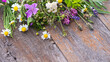Wild flowers on a wooden background - chamomile, clover, lavender, mallow and others
