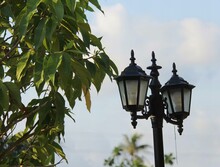 A Photography Of A Street Light With A Bird Perched On It, Street Sign On A Pole With Two Street Lamps On It.
