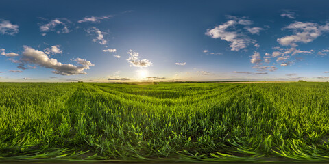 Wall Mural - spherical 360 hdri panorama among green grass farming field with storm clouds on blue sky in equirec