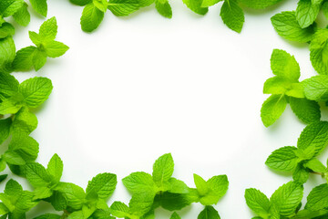 Wall Mural - White background with green leaves on it and white space for text.