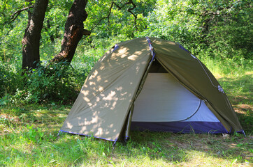 Wall Mural - tourist tent in forest