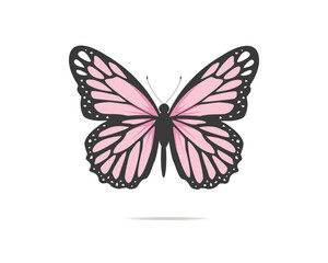 Wall Mural - butterfly on white background etc poster decoration