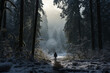 serene photo of a person walking through a snow-covered forest, surrounded by towering evergreen trees and a gentle snowfall 