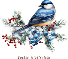 Winter Blue Bird On A Branch Watercolor Vector Illustration 