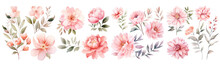 Watercolor Blush Floral Clipart , Watercolor Collection Of Hand Drawn Flowers , Botanical Plant Illustration Transparent Background, PNG ,Generative AI	
