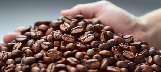 Wall Mural - Hand holding coffee beans, Close up of fresh coffee beans for making coffee.