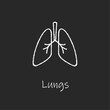 Chalk style health care ui icons collection. Vector white linear illustration. Lungs anatomy symbol isolated on black board. Design element for healthcare, respiratory system pulmonology infographic