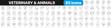 Veterinary And Animals Line Icons Collection. Medicine, Pets, Hospital, Care Icons. UI Icon Set. Thin Outline Icons Pack. Vector Illustration EPS10