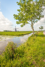 Picturesque Polder Landscape With Ditches And An Old Mill In The Netherlands. The Photo Was Taken In Summertime Near The Small Village Of Hoornaar, Municipality Of Molenlanden, Provincie South Holland