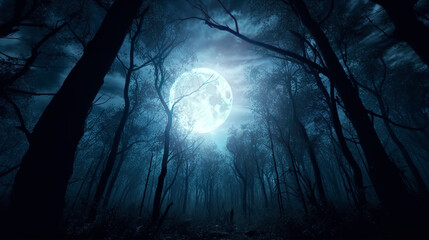 Poster - Dark night forest. Black silhouettes of trees, the moon on a dark background.
