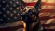 Portrait of a german shepherd dog and Usa flag