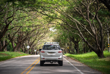 Wall Mural - Car on a Colombian highway lined with trees to protect from the sun.