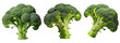 Set of fresh broccoli isolated on white background