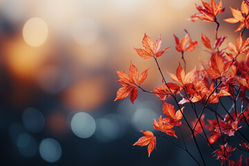 Wall Mural - Autumn leaves and sunlight background with copy space for text: Red and yellow maple leaves with soft focus light and bokeh background.