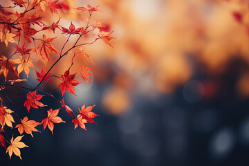 Wall Mural - Autumn leaves and sunlight background with copy space for text: Red and yellow maple leaves with soft focus light and bokeh background.