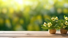 Spring Flowers In A Pot On Wooden Table. Spring Nature Background