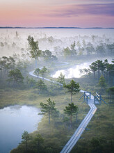 Colorful Morning Sunrise Over The Bog Of National Park Of Ķemeri. Wooden Trail Leading Through Wetlands Covered In Fog. 
