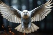 White parrot in flight with wings outspread in the air.
