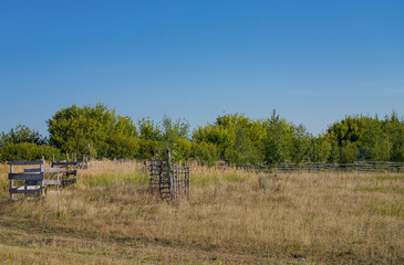 Canvas Print - landscape in the countryside