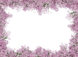 Wall Mural - flowers border