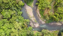 Small Shallow River Flow Through Forest Of Palm Trees, Aerial Top Down View