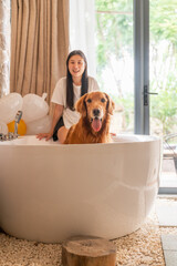 Wall Mural - Golden Retriever with owner inside bathtub