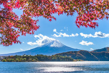 秋の河口湖　もみじトンネルの紅葉と富士山【山梨県・富士河口湖町】　
Lake Kawaguchi And Mt. Fuji In Autumn Leaves - Yamanashi, Japan