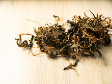 Dried Cirsium Setidens , Dried Herbs