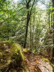 Wall Mural - Elbsandsteingebirge