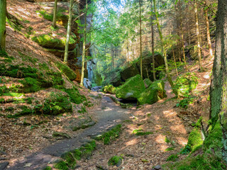 Wall Mural - Elbsandsteingebirge