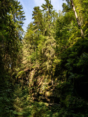 Poster - Elbsandsteingebirge