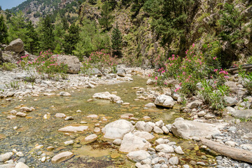 Wall Mural - View of The Samaria Gorge, Crete, Greece