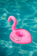 inflatable pink flamingo in the pool