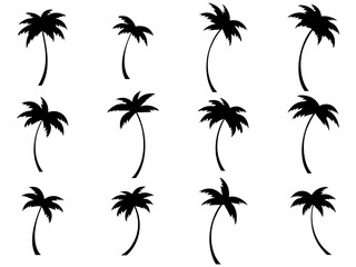 Wall Mural - set of black silhouettes of palm trees isolated on white background. large collection of palm tree d