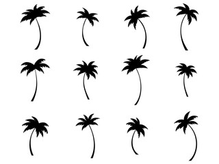 Wall Mural - black palm trees set isolated on white background. palm silhouettes. design of palm trees for poster