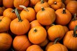 © salahchoayb - A high resolution photo of pumpkins displayed nicely for sale at a farmers market, generative ai