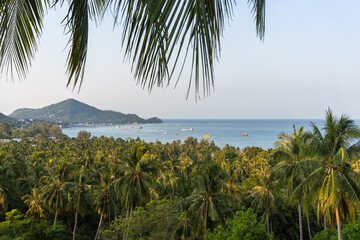 Wall Mural - Tropical Koh Tao island landscape with green palm trees grove, view from the high on sea and Mae Haad Bay and mountain