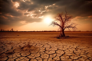 the problem of global warming. Desert with withered tree.