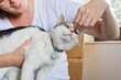 © Tunatura - Young woman giving pill to adorable cat. Treament, medicaments, vitamins, supplements, veterinary care concept.