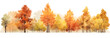 canvas print picture - Autumn trees  watercolor horizontal banner isolated on transparent background