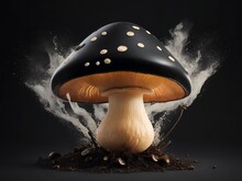 Beautiful Black Mushroom