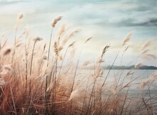 Dried Grass And Sky Background