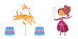 Circus performance of tiger jumping through ring with fire and trainer vector illustration. Cartoon isolated portraits of cute girl tamer in vintage tuxedo holding whip to train animal to jump