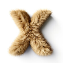 Furry Letter X Made Of Dog, Cat And Animal Fur