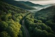 Lonely road through a forest from a bird's eye view