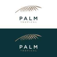 Premium And Luxury Palm Leaf Summer Tropical Therapy Botanical Logo Template Design.