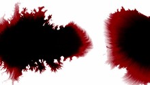 Splashes And Spots Of Red Ink Or Blood Spread On White Background. Motion Graphic