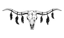 Texas Longhorn Black And White Vector Illustration. Longhorn Skull With Feathers, Clipart. Silhouette Texas Longhorn. Bull Head Logo Icon.